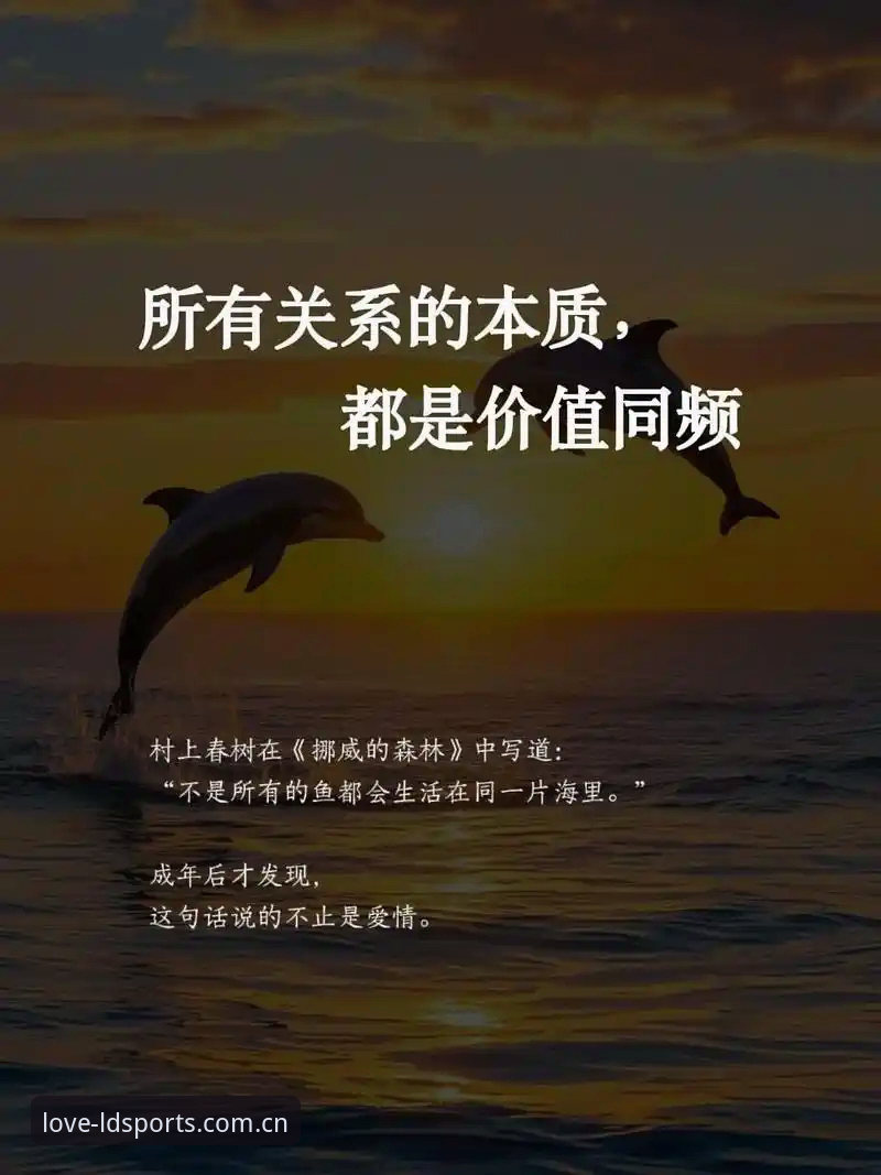 LDSPORTS电脑客户端 挪威主帅赛前言论深度分析:概率模型的盲区与实战足球的真相